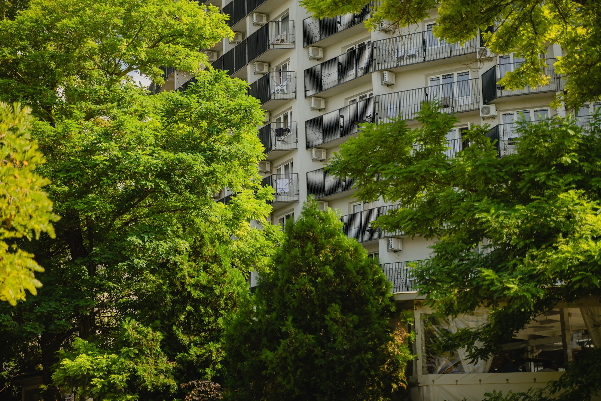 high-rise building surrounded by green trees